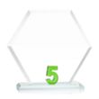 Riviera Anniversary Award No 5 - Green | https://www.bestnamebadges.com