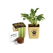Flower Pot Set With Marigold Seeds | https://www.bestnamebadges.com