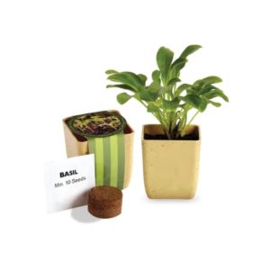 Flower Pot Set With Basil Seeds