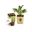 Flower Pot Set With Basil Seeds | https://www.bestnamebadges.com