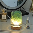 Crystal lamp essential oil diffuser | https://www.bestnamebadges.com