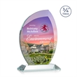 Wichita VividPrint™ Award - Clear | https://www.bestnamebadges.com