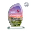 Wichita VividPrint™ Award - Clear | https://www.bestnamebadges.com