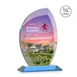 Wichita VividPrint™ Award - Sky Blue | https://www.bestnamebadges.com