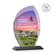 Wichita VividPrint™ Award - Black | https://www.bestnamebadges.com