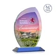 Wichita VividPrint™ Award - Blue | https://www.bestnamebadges.com