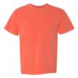 Comfort Colors - Garment Dyed Heavyweight Ringspun Short ... | https://www.bestnamebadges.com