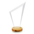 Condor VividPrint™ Award - Amber | https://www.bestnamebadges.com