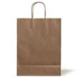 10 X 13 Inch Custom Twisted Handle Paper Shopping Bags | https://www.bestnamebadges.com
