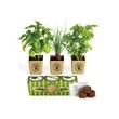 Growpot Eco-Planter Herb 3-Pack | https://www.bestnamebadges.com