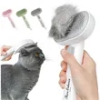 Cat Brush | https://www.bestnamebadges.com