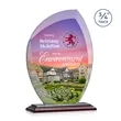 Wichita VividPrint™ Award - Rosewood | https://www.bestnamebadges.com
