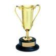 Gold Loving Cup Award | https://www.bestnamebadges.com