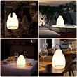 Camping Lantern | https://www.bestnamebadges.com