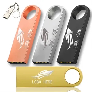 Customizable Logo Metal U Disk Keychain