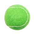 Pet Fetch Toy Tennis Ball | https://www.bestnamebadges.com