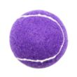 Pet Fetch Toy Tennis Ball | https://www.bestnamebadges.com