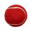 Pet Fetch Toy Tennis Ball | https://www.bestnamebadges.com