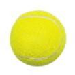 Pet Fetch Toy Tennis Ball | https://www.bestnamebadges.com