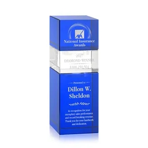 Tofino Stacker Award - Blue | https://www.bestnamebadges.com