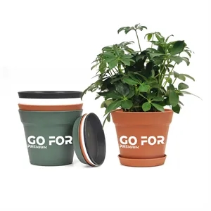 Plant Pots