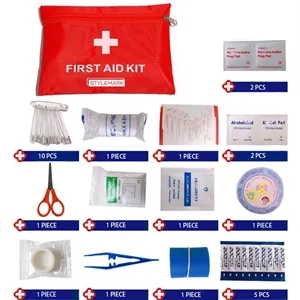 Mini First Aid Kit