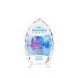 Wilton VividPrint™ Award - Clear | https://www.bestnamebadges.com