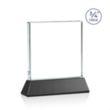 Terra VividPrint™ Award on Newhaven - Black | https://www.bestnamebadges.com