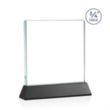 Terra VividPrint™ Award on Newhaven - Black | https://www.bestnamebadges.com