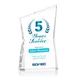 Roswell VividPrint™ Award | https://www.bestnamebadges.com