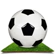 Custom Soccer Ball | https://www.bestnamebadges.com