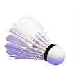 Led Light Badminton | https://www.bestnamebadges.com
