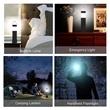 2 in 1 LED Camping Lantern Light and Flashlight | https://www.bestnamebadges.com