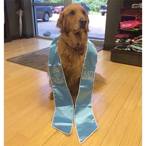 Embroidered Sash