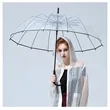 Long-handled Transparent Umbrella | https://www.bestnamebadges.com