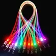 LED Glowing Lanyard | https://www.bestnamebadges.com