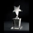 North Star Optically Perfect Award | https://www.bestnamebadges.com