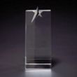 Skyward Star Medium Optically Perfect Award | https://www.bestnamebadges.com