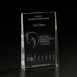 3D Crystal Wedge Small Award | https://www.bestnamebadges.com