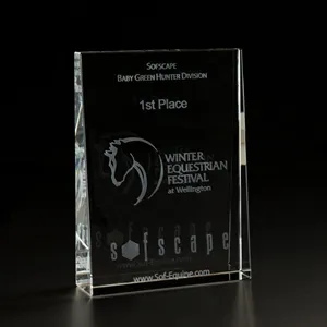 3D Crystal Wedge Large Award | https://www.bestnamebadges.com