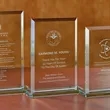 Beveled Rectangle - Medium Award | https://www.bestnamebadges.com