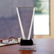 Vindication Award | https://www.bestnamebadges.com
