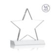 Chippendale Star Award - White | https://www.bestnamebadges.com