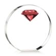 Anastasia Gemstone Award - Ruby | https://www.bestnamebadges.com