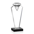 Endeavour Award - Diamond | https://www.bestnamebadges.com