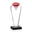 Endeavour Award - Ruby | https://www.bestnamebadges.com