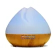 Night Light and Aromatherapy Diffuser | https://www.bestnamebadges.com