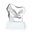 Ottavia Flying Eagle Award | https://www.bestnamebadges.com