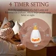 Salt Lamp Flame Aroma Diffuser | https://www.bestnamebadges.com