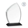 Daltry Award - Black | https://www.bestnamebadges.com